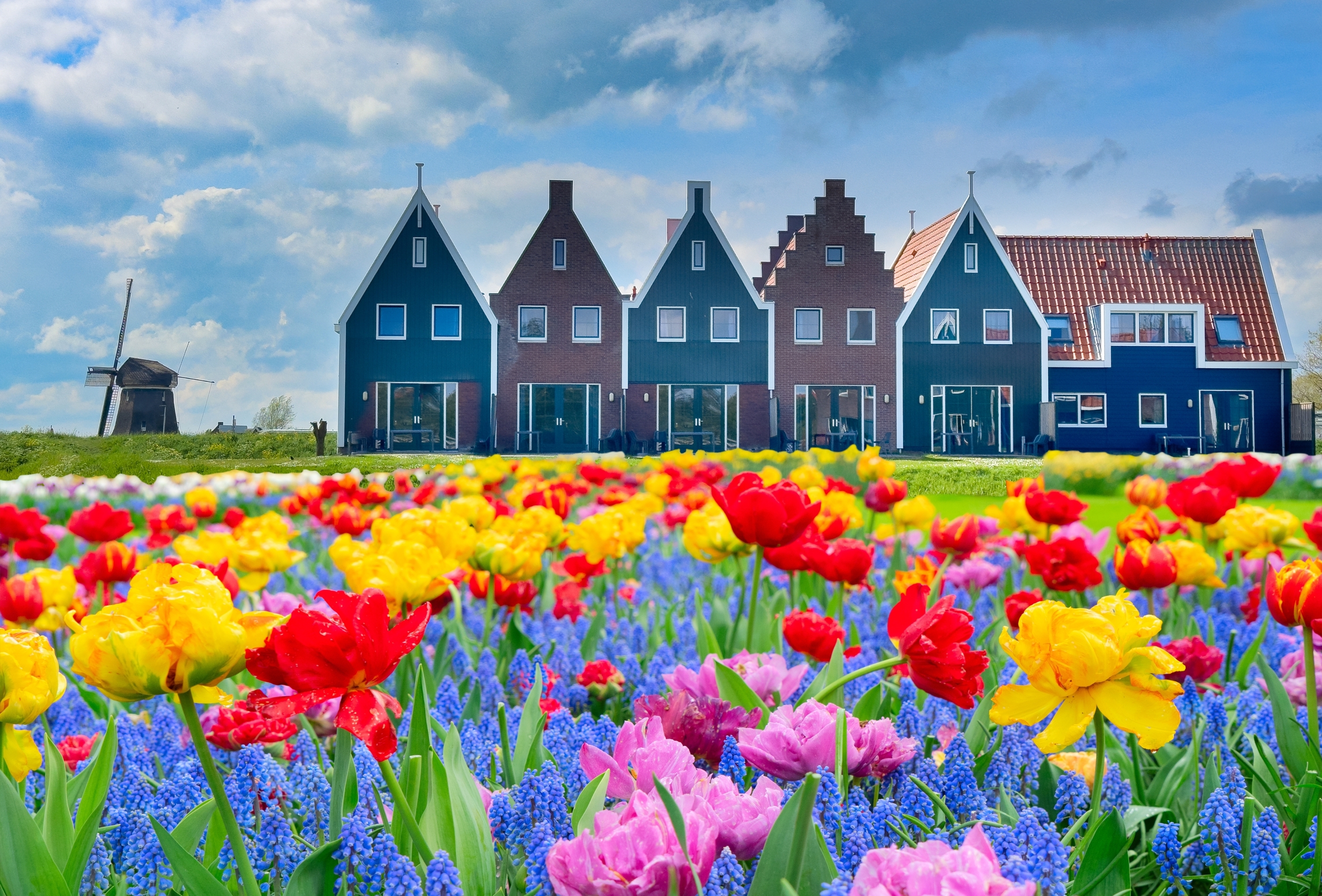 荷比盧旅遊全攻略｜荷蘭比利時盧森堡交通、美食、必訪景點、退稅秘訣懶人包 ✨