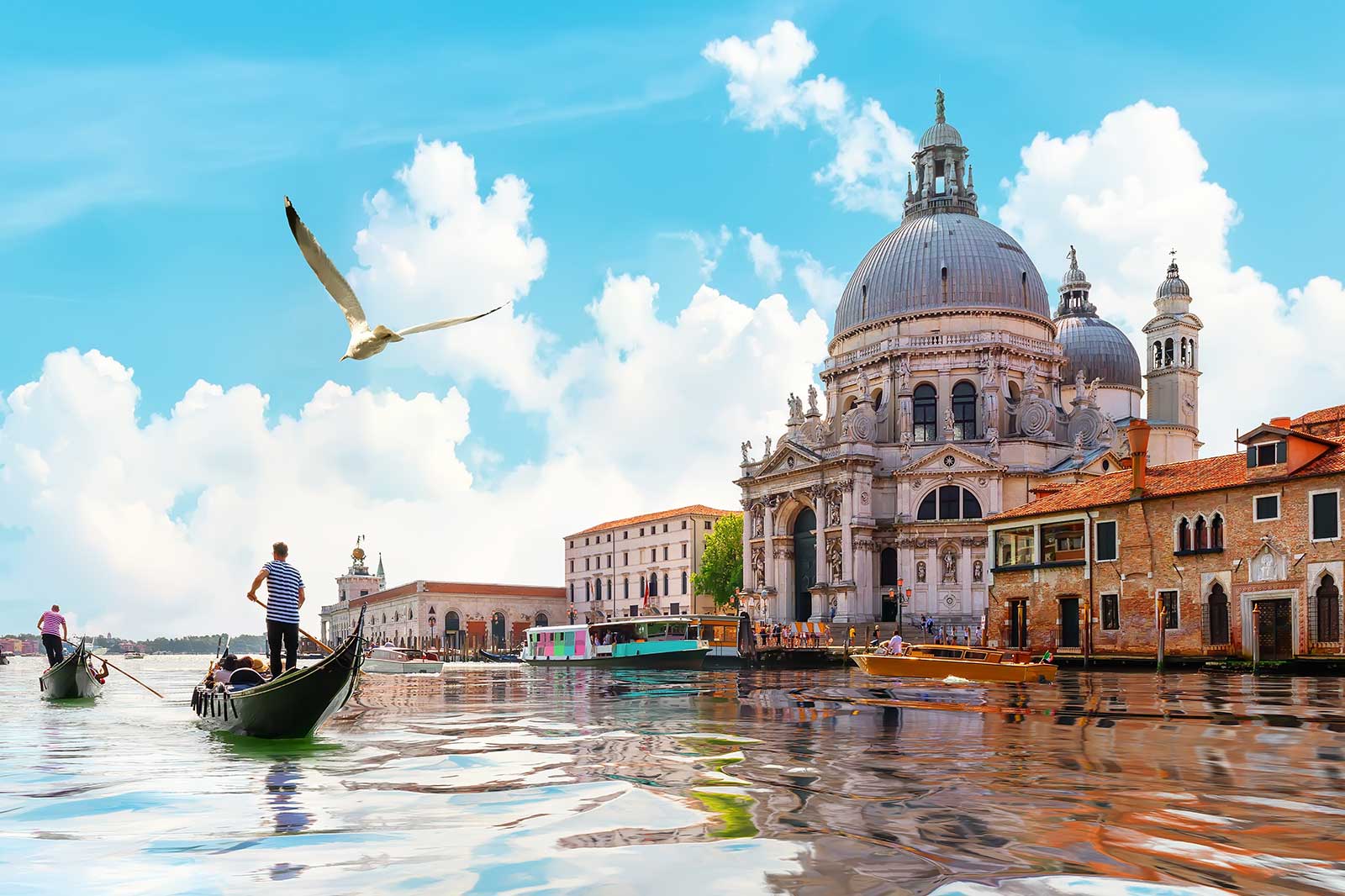 威尼斯 Venice