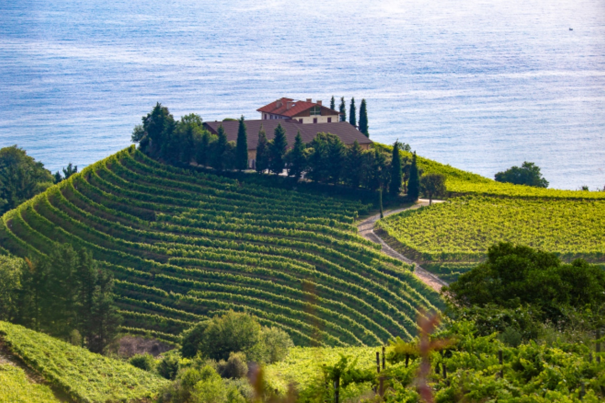 品味之路12日caminodelsabor