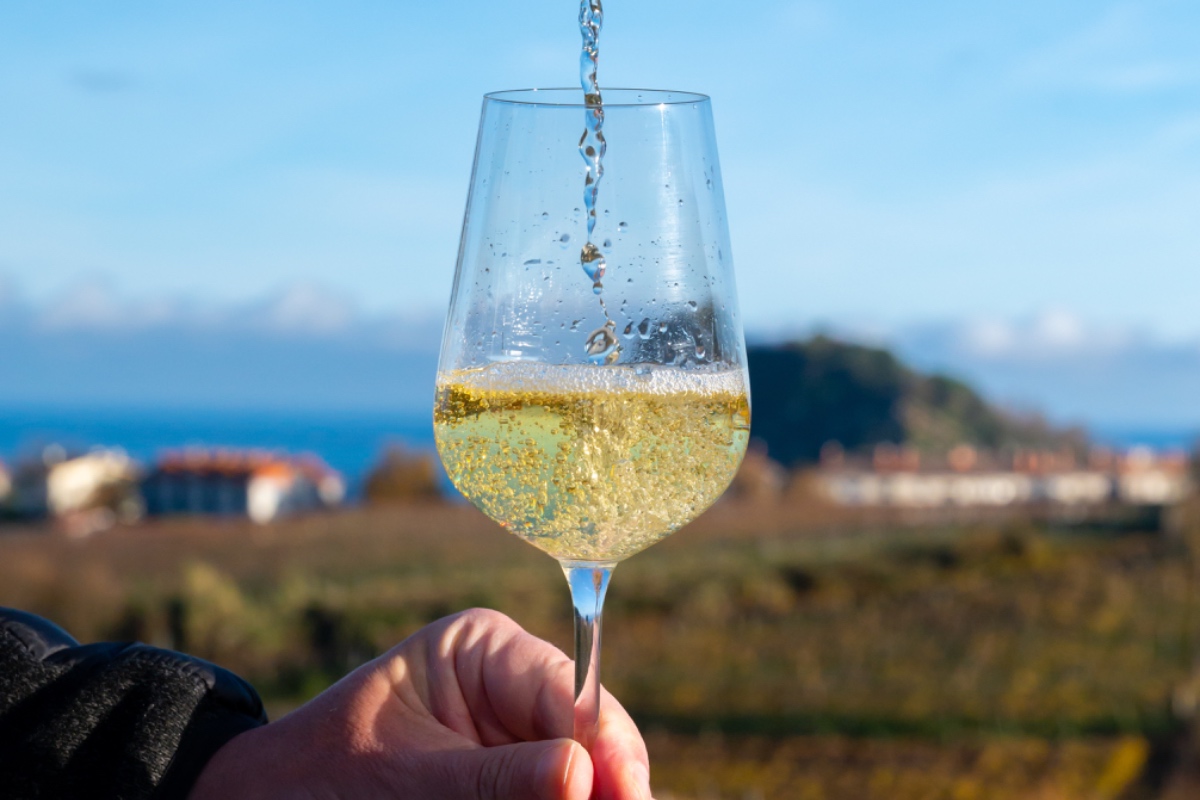 巴斯克限定查克利白酒txakoli