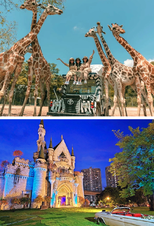 E野生動物園+喬德夜市