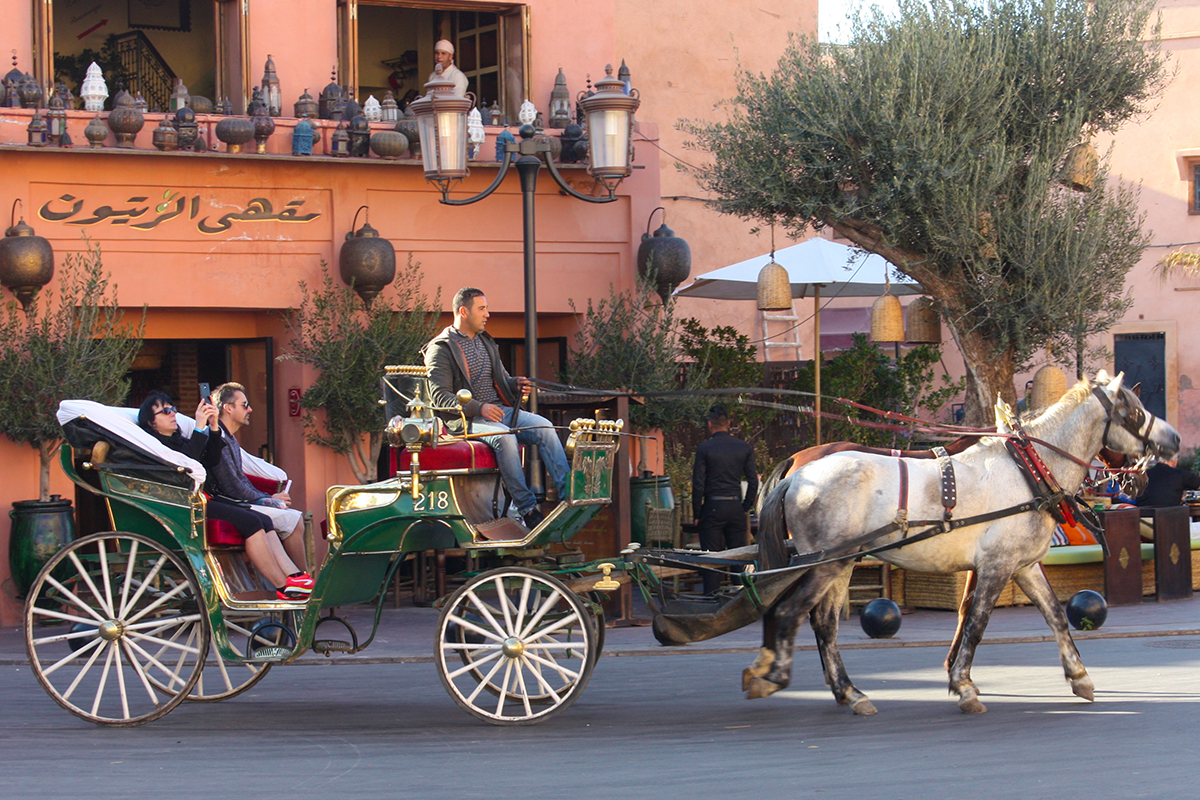 搭乘馬車環遊舊城區