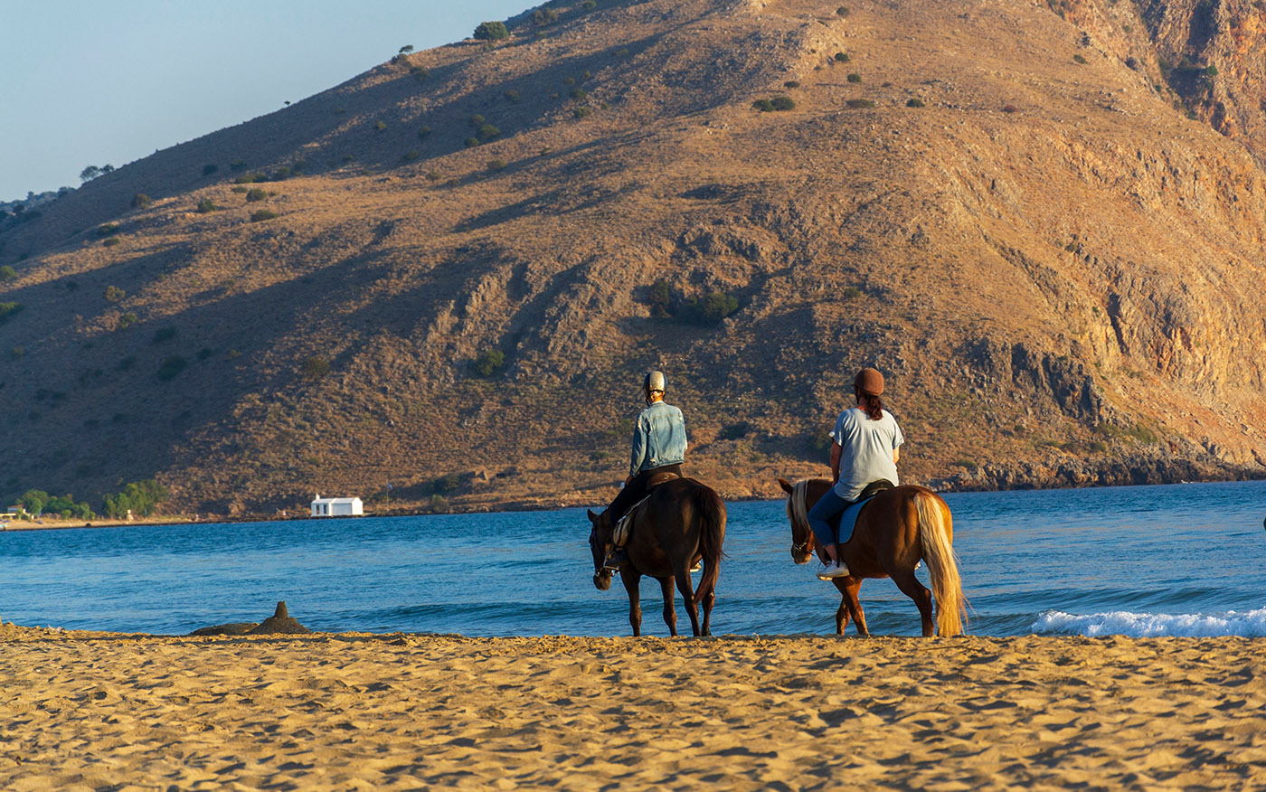 ★冰島馬騎乘體驗