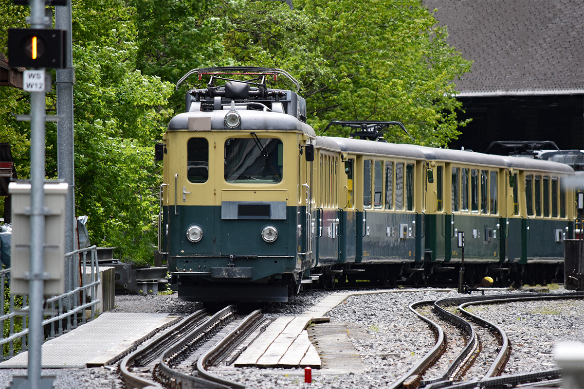★黃金景觀列車