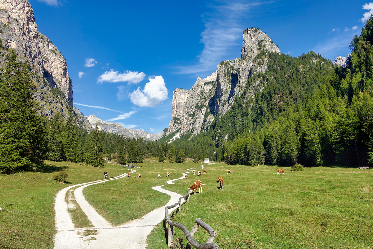 瓦倫加山谷輕健行