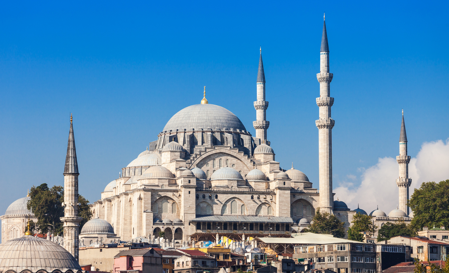 蘇雷曼尼清真寺