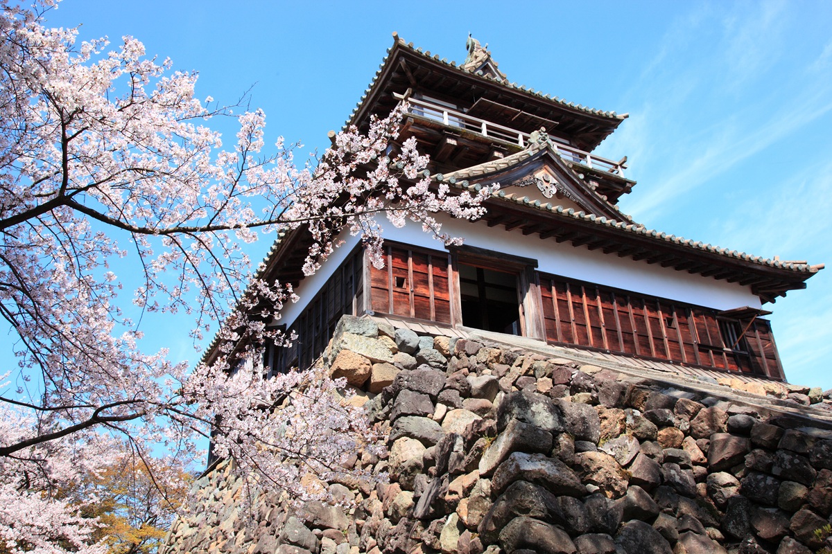 丸岡城