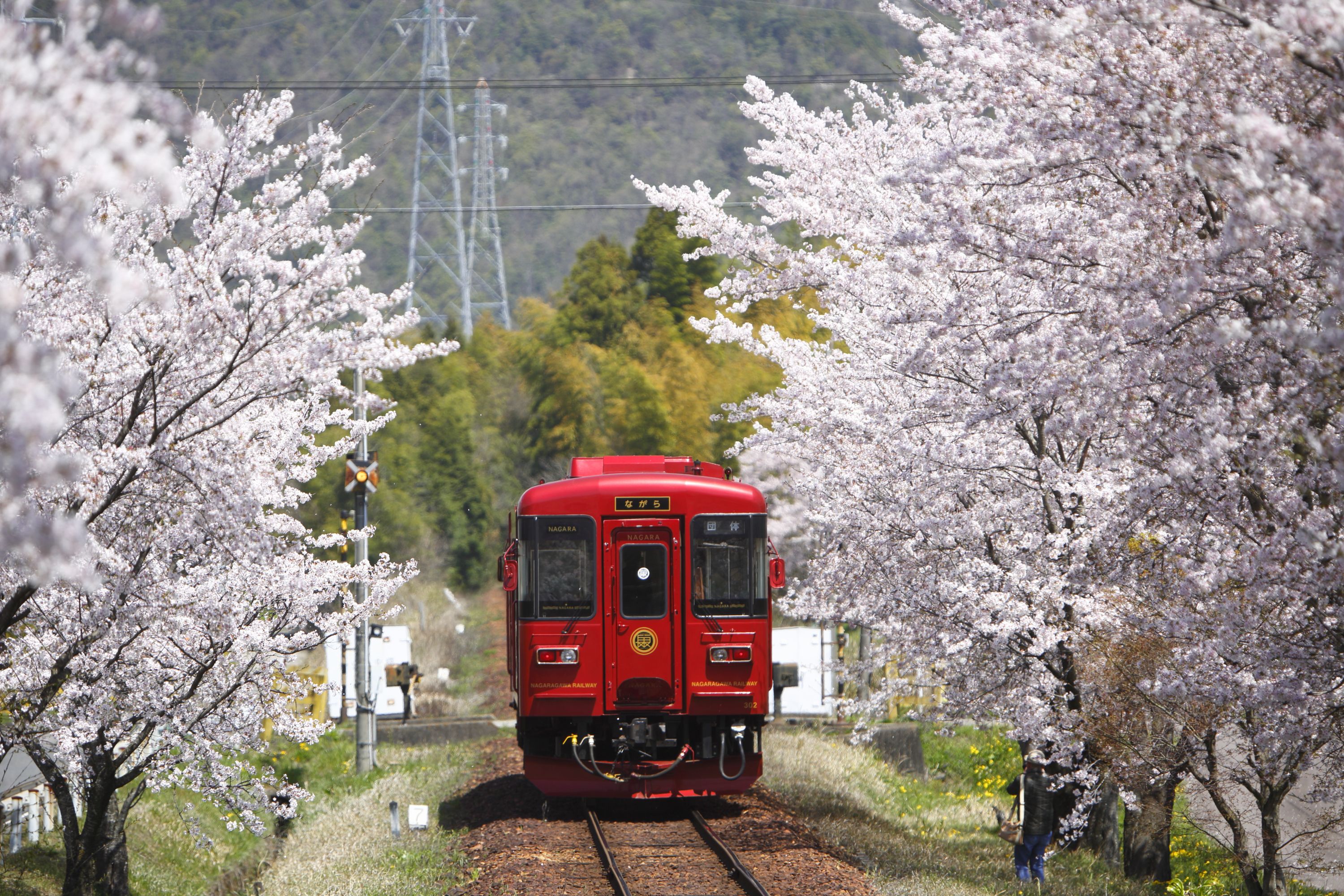 長良川觀光列車「Nagara」