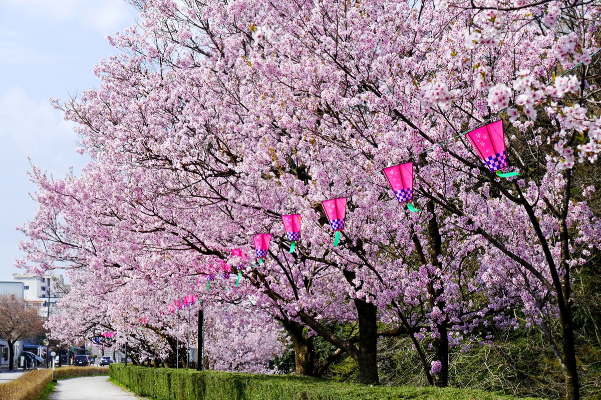 高岡古城公園