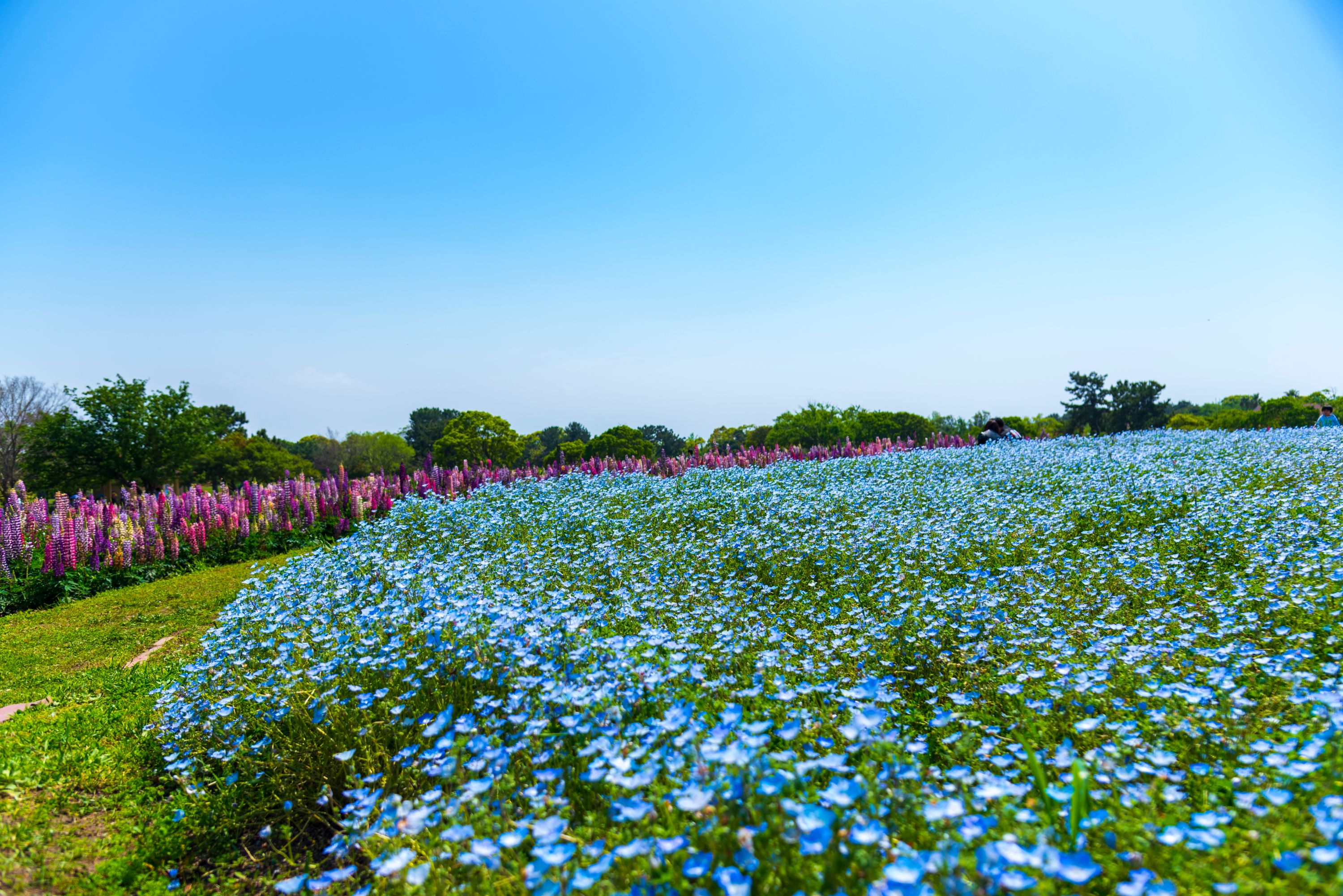 海之中道海濱公園