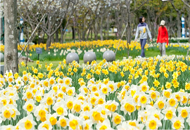 海之中道海濱公園