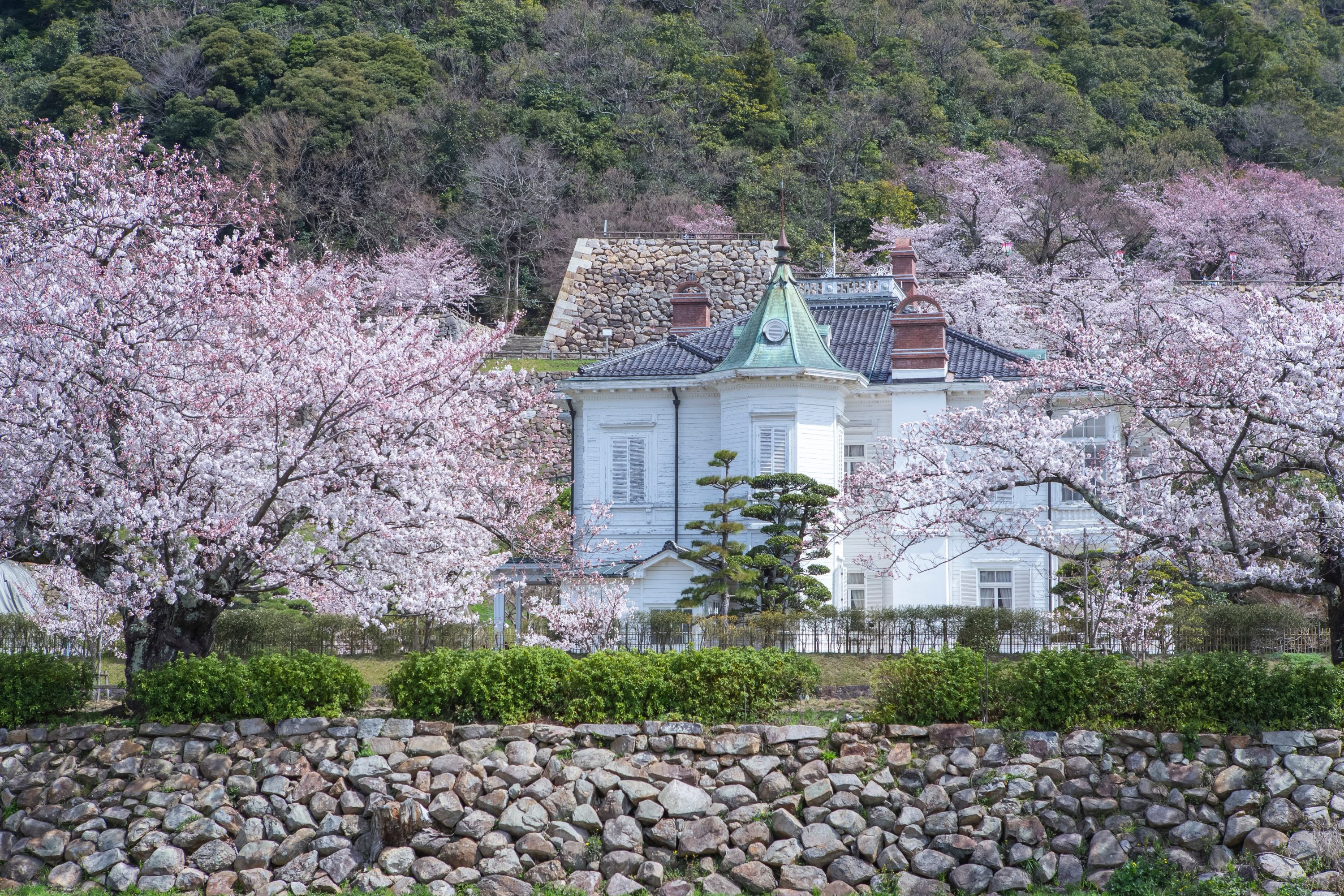 久松公園