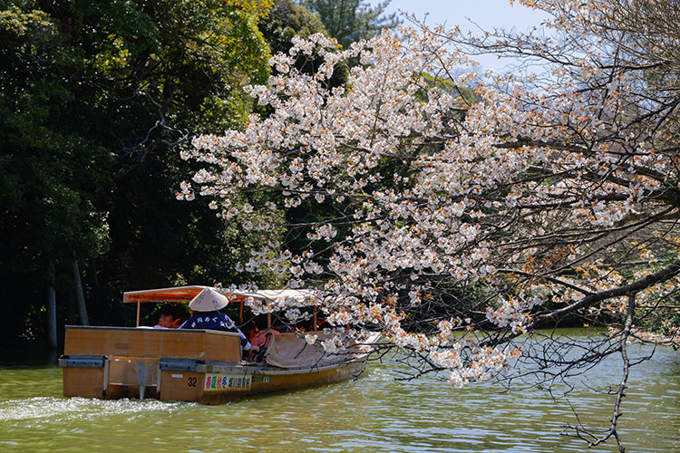 松江堀川遊船