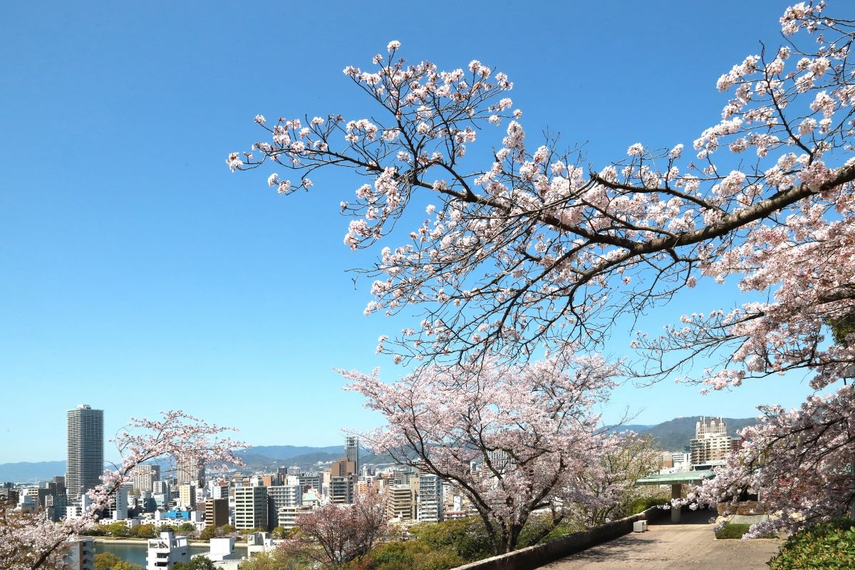 比治山公園賞櫻景點