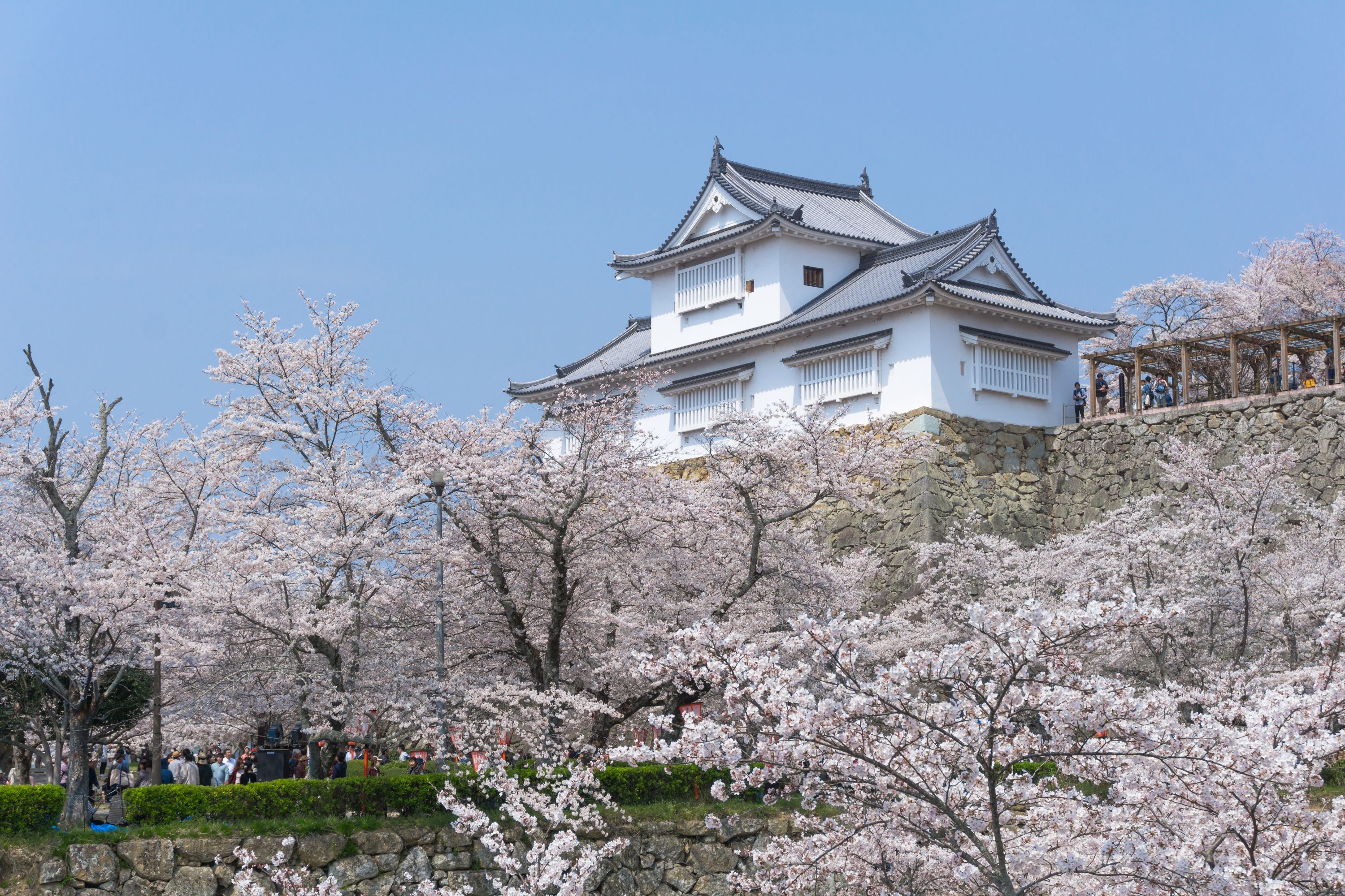 津山城風景