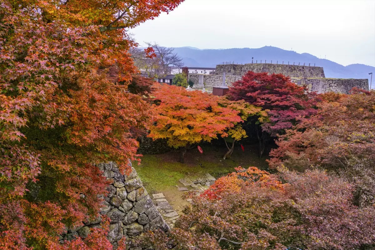 津山城