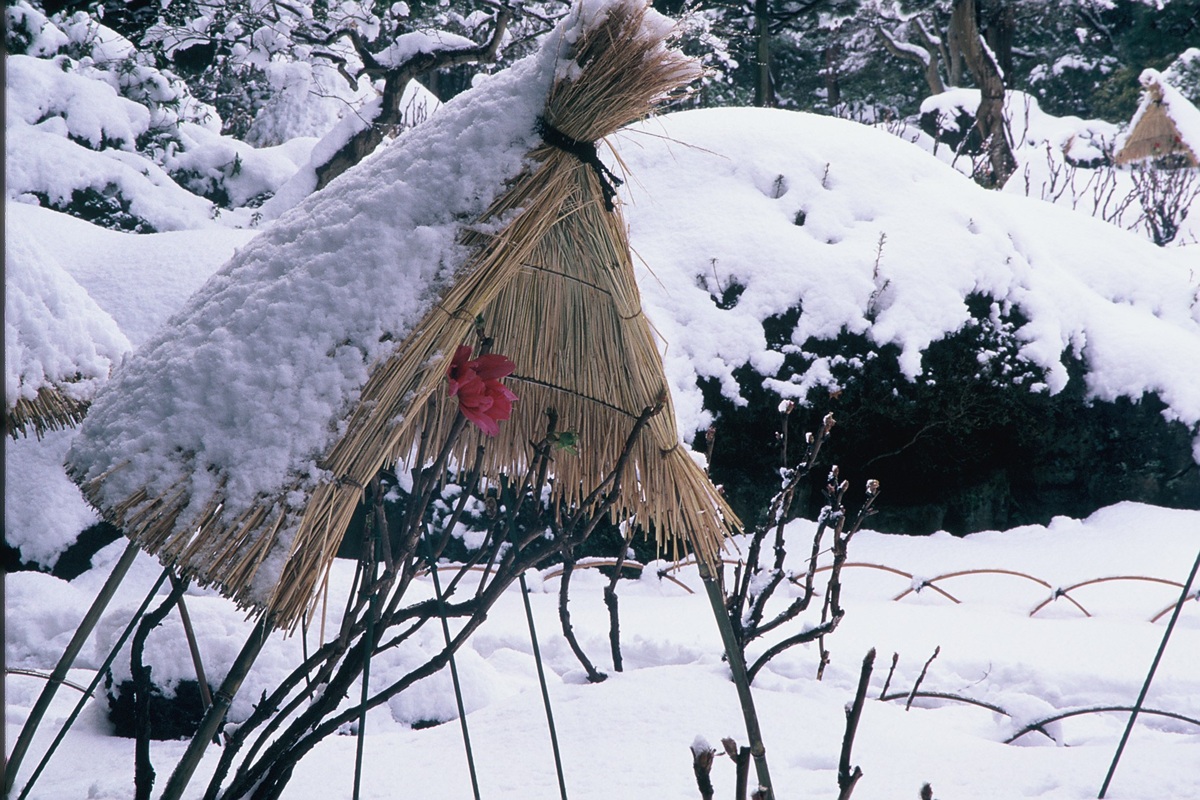 由志園