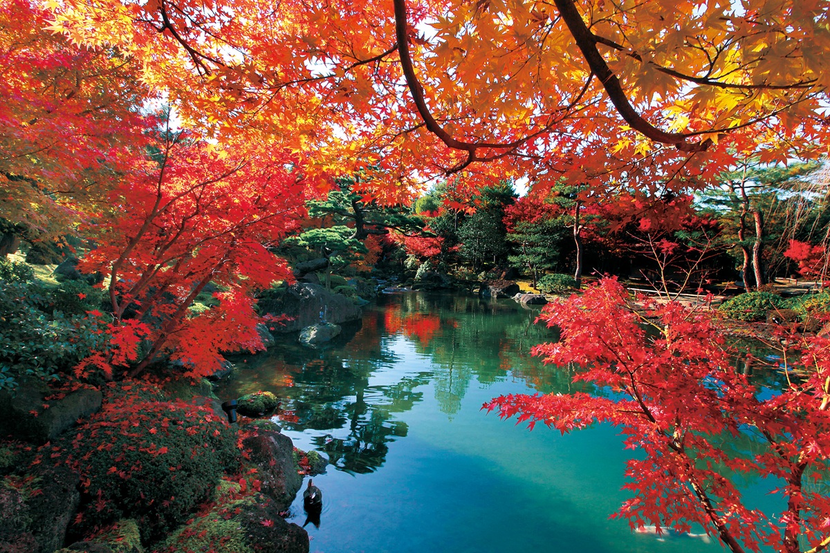 由志園