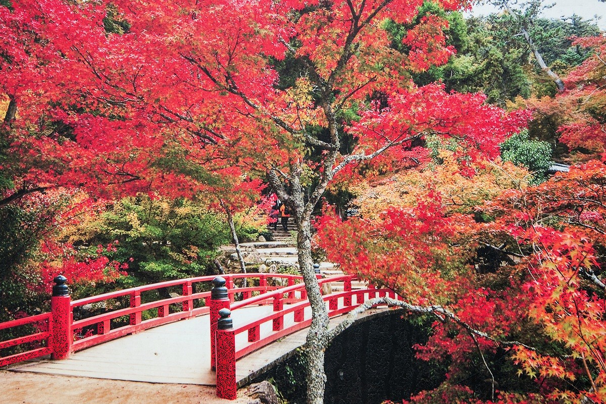 紅葉谷公園