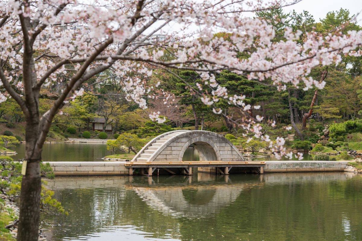 縮景園 櫻花 桃花
