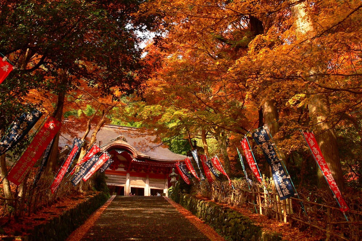 鱷淵寺