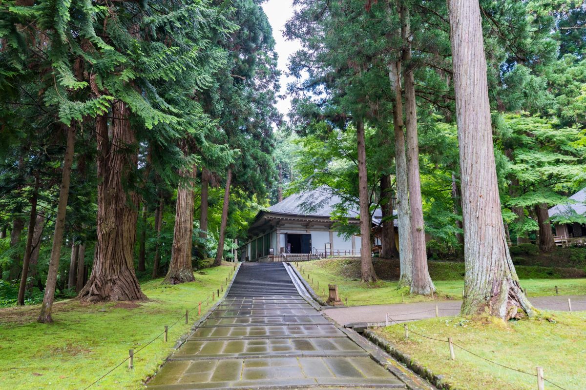 世界遺產 中尊寺