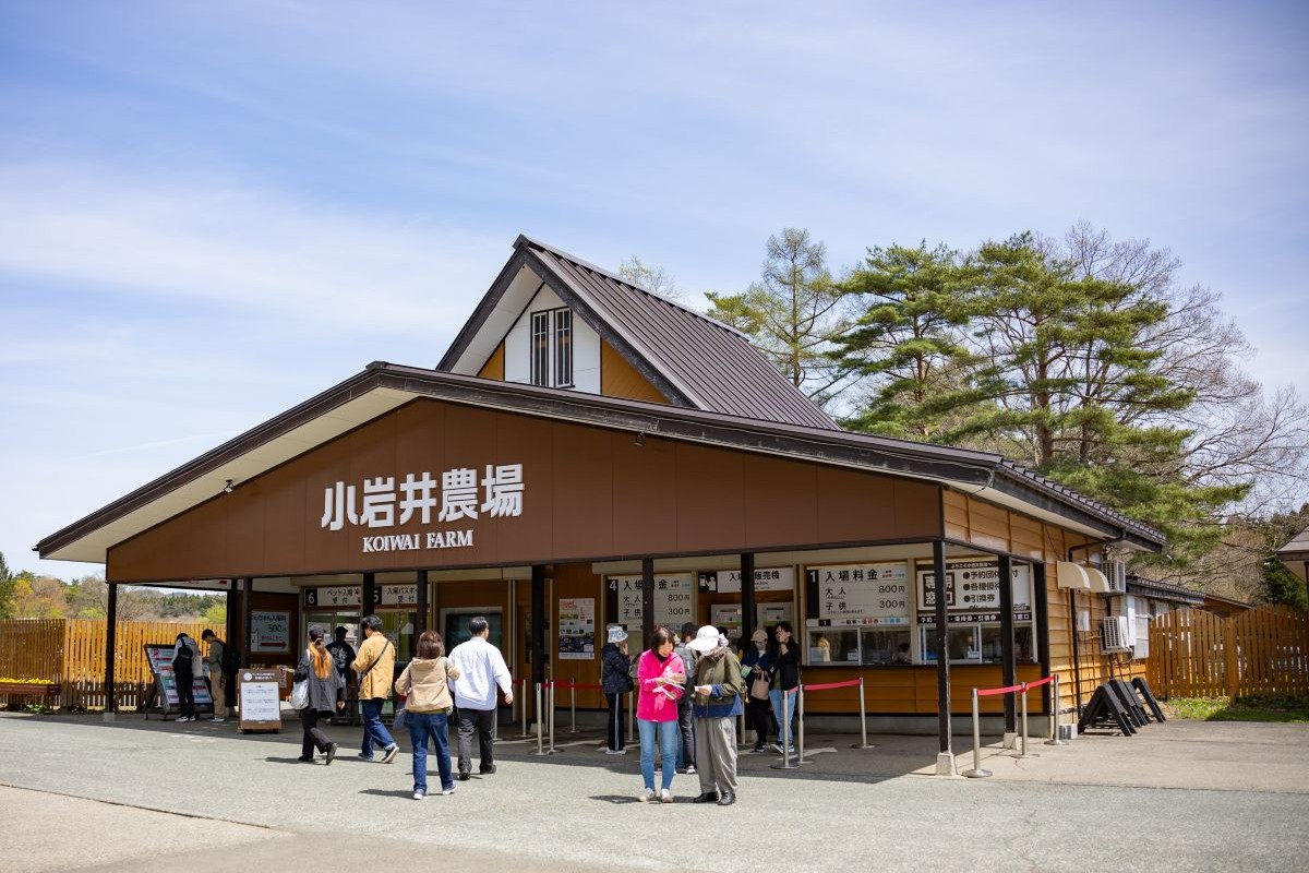 牧場風光 小岩井農場