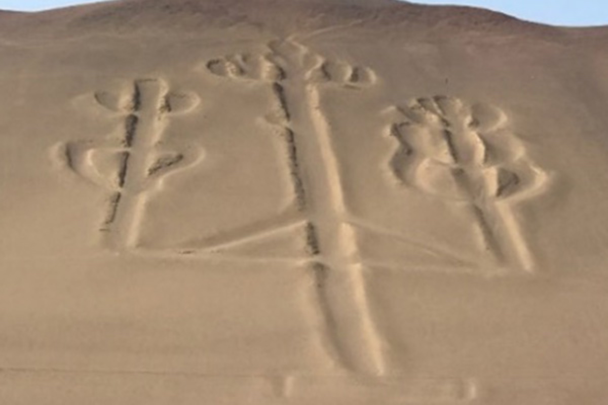 帕拉卡斯燭台candelabro