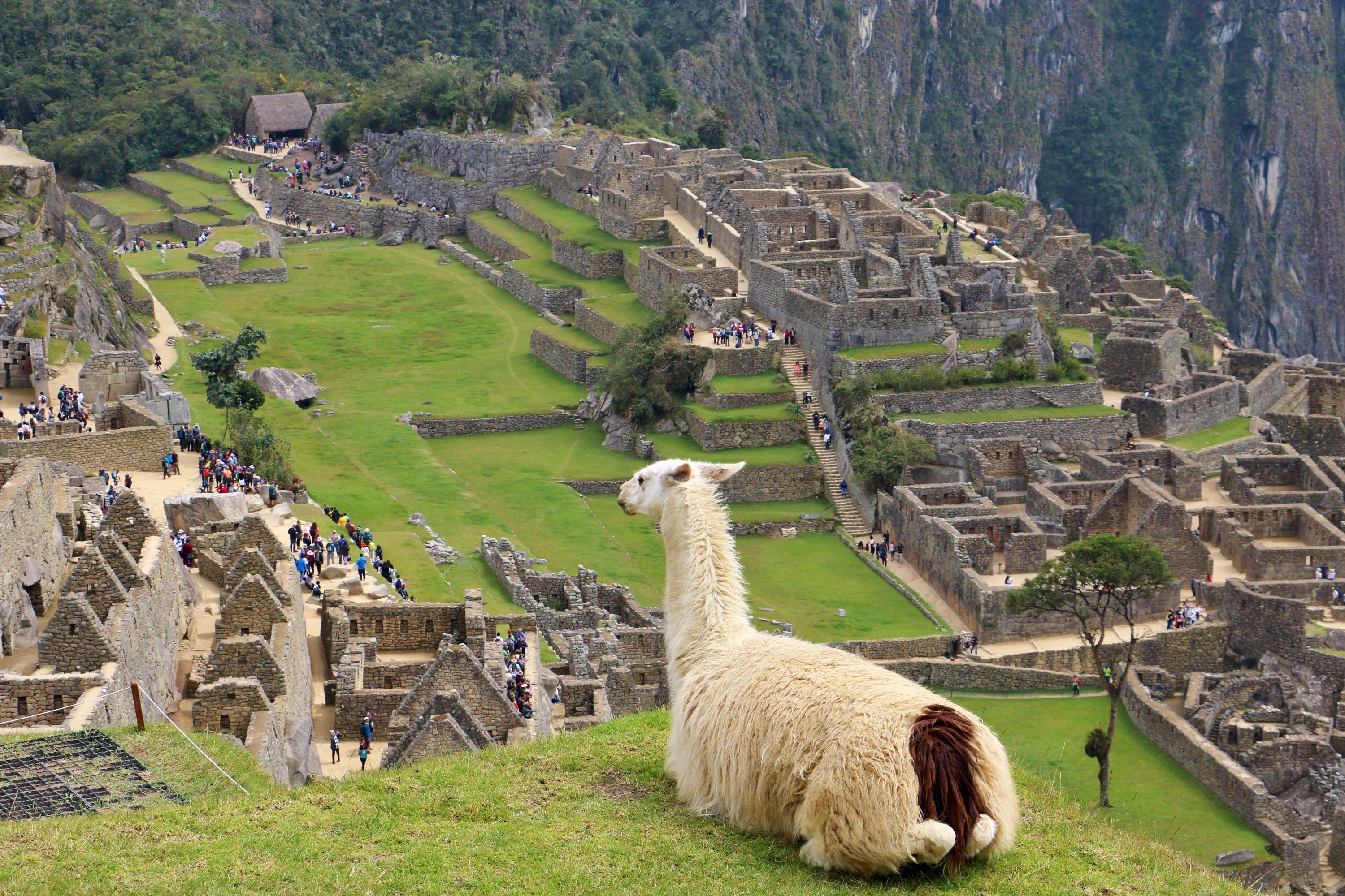 Peru