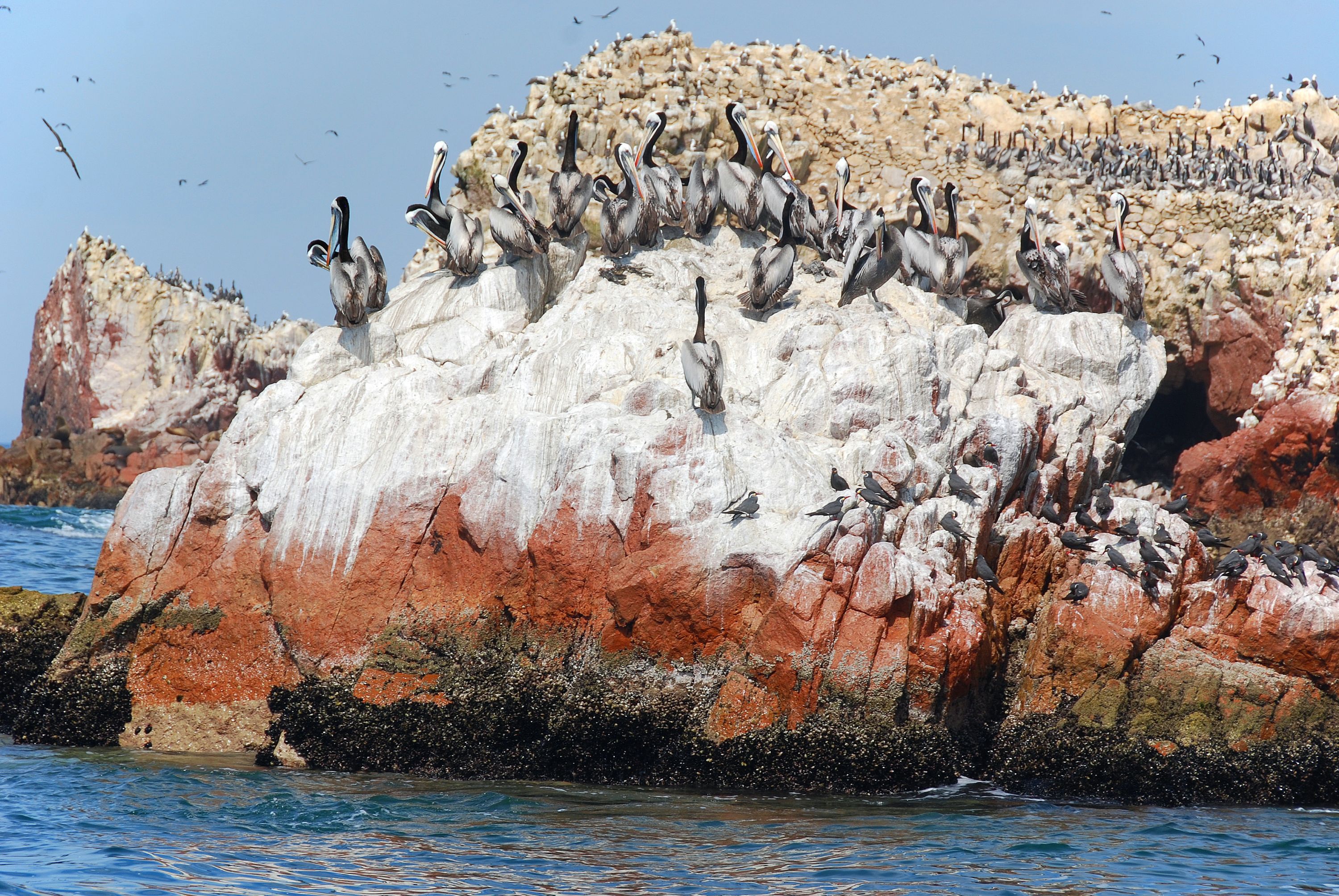巴耶斯達斯群島