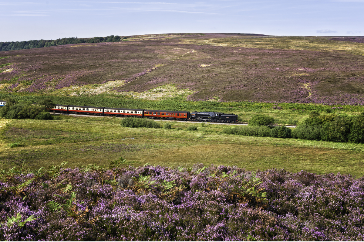 北約克荒原國家公園