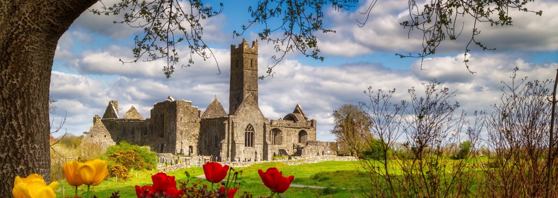 英愛協奏曲 15日