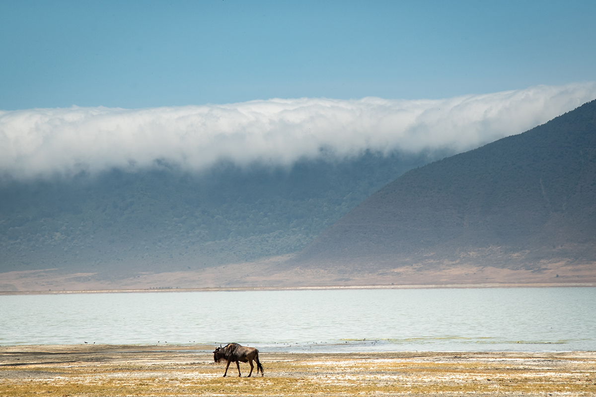 恩格龍格龍火山