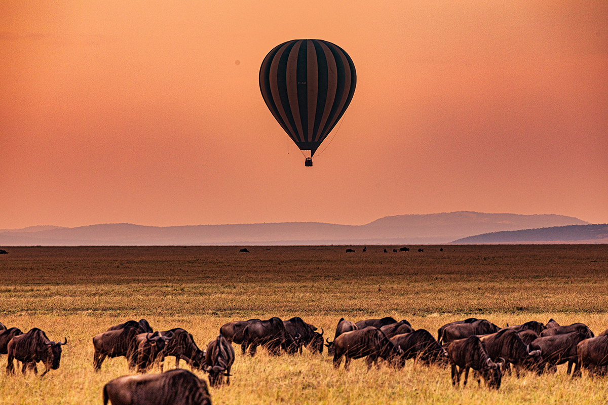 草原上最美的驚嘆號