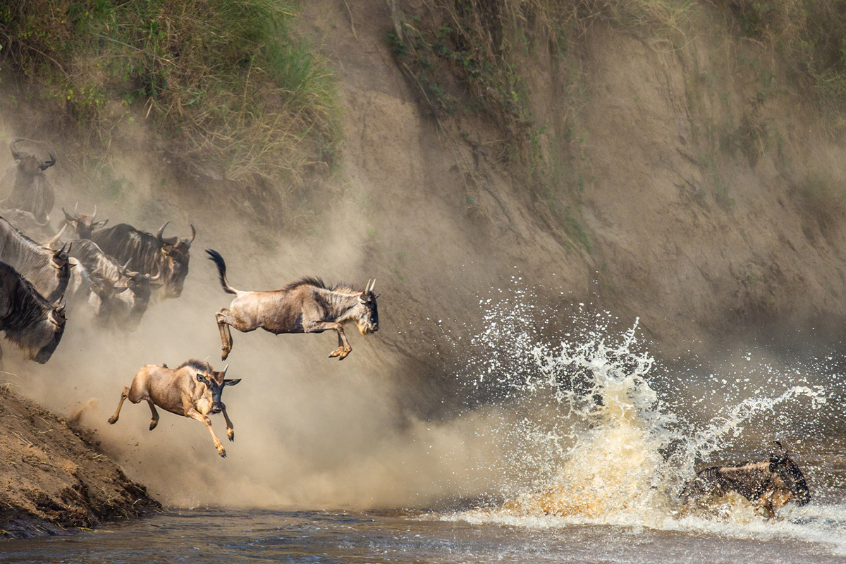 馬賽馬拉國家保護區