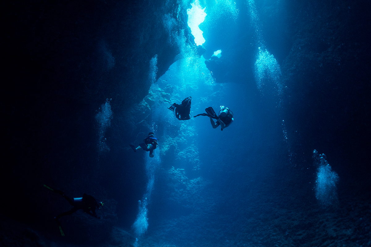  大斷層 Big Drop Off Dive Site