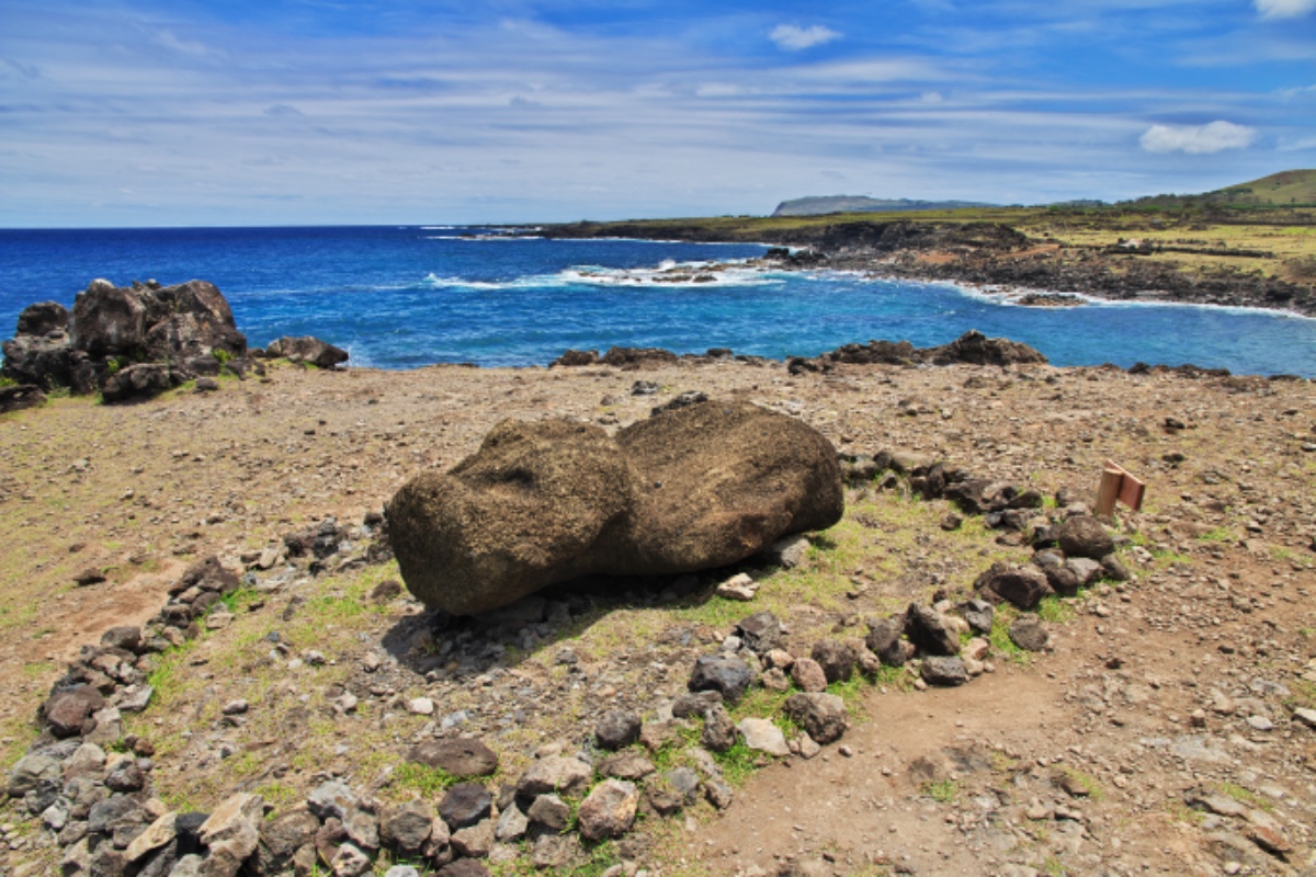 阿卡岸加Akahanga