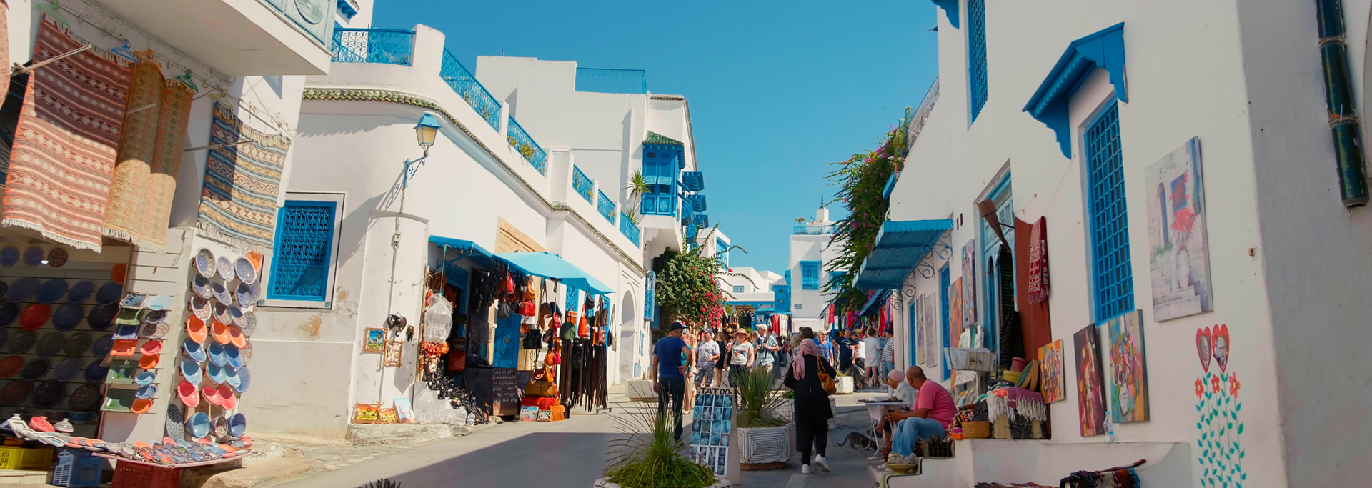 沙海交響曲突尼西亞12日