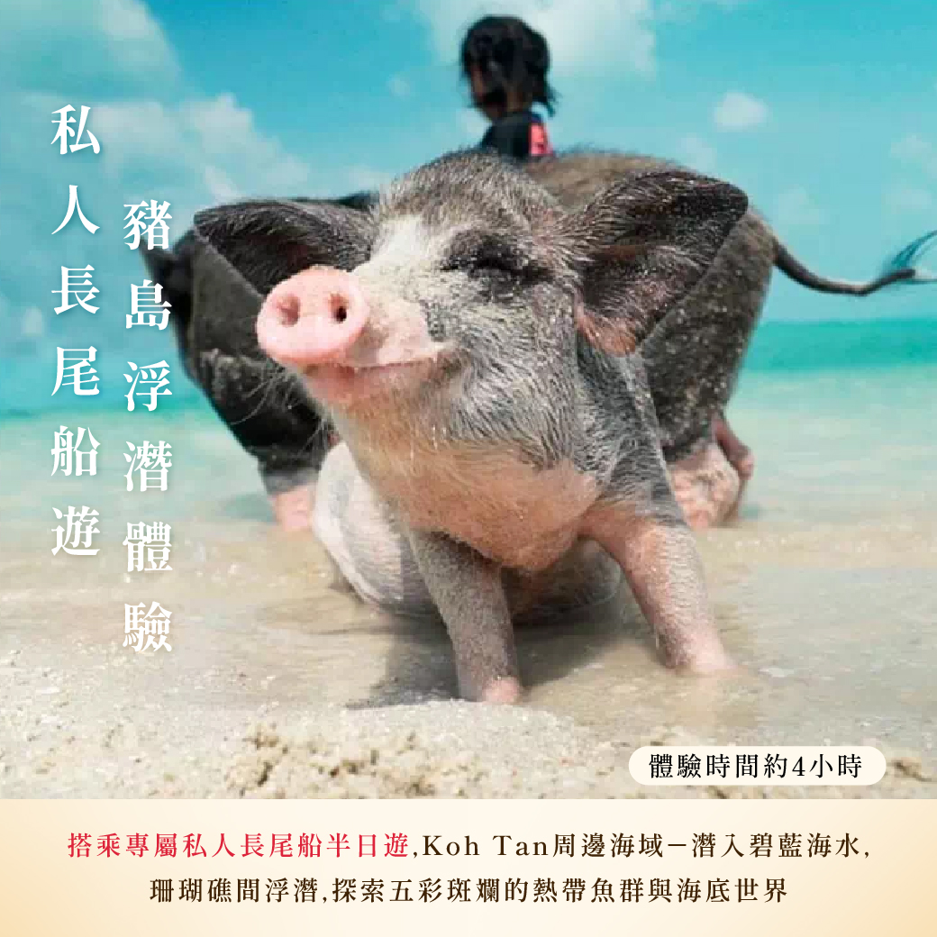 B-長尾船遊豬島浮潛體驗 