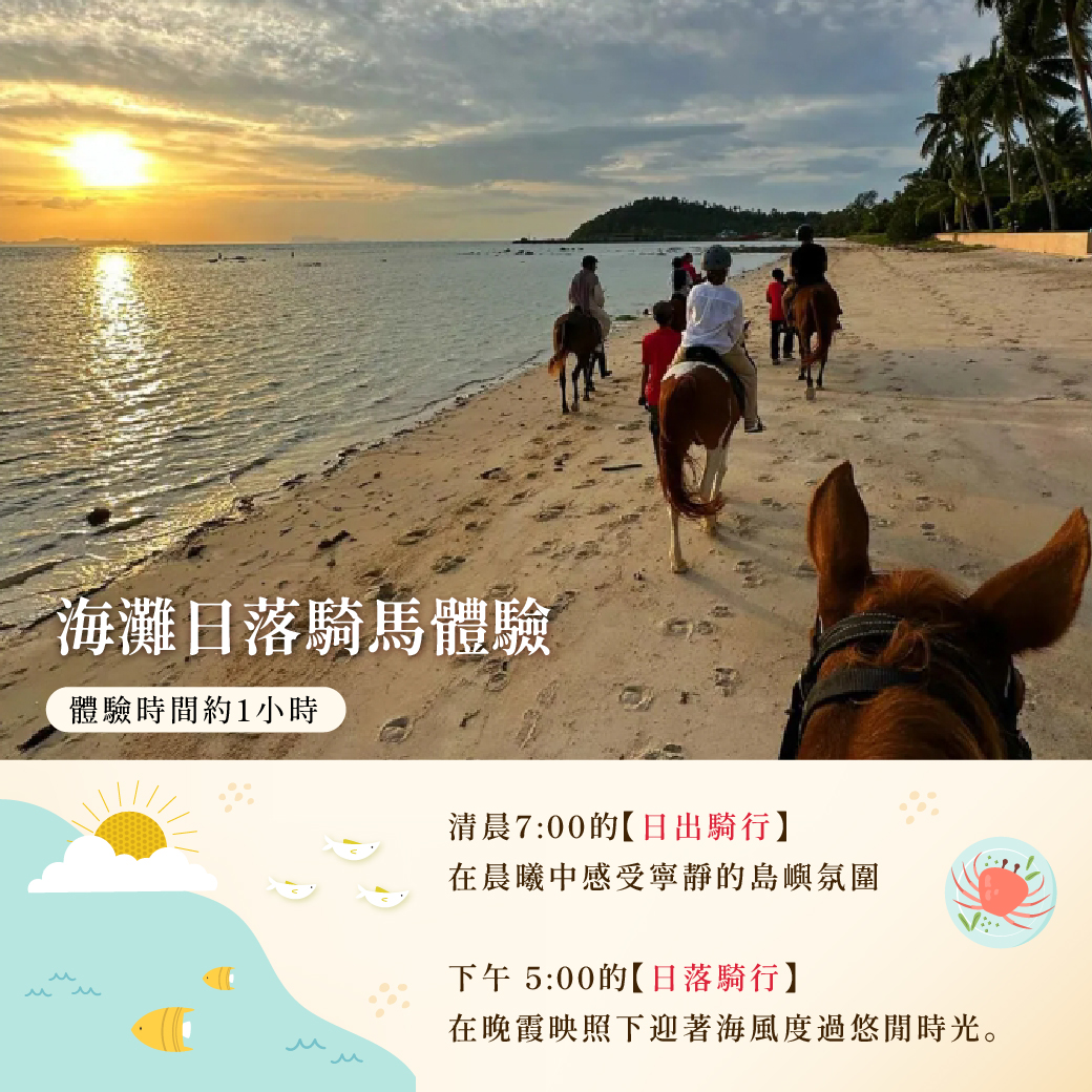 D-海灘日落騎馬體驗